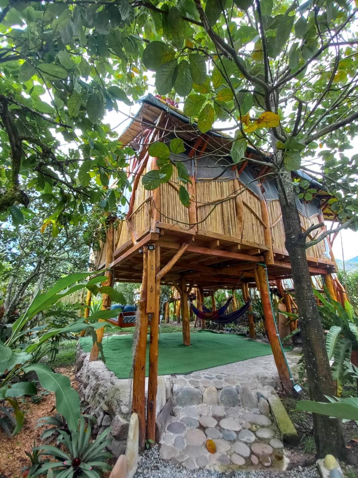 Gigante Villa Sonia Eco-Hostel מראה חיצוני תמונה