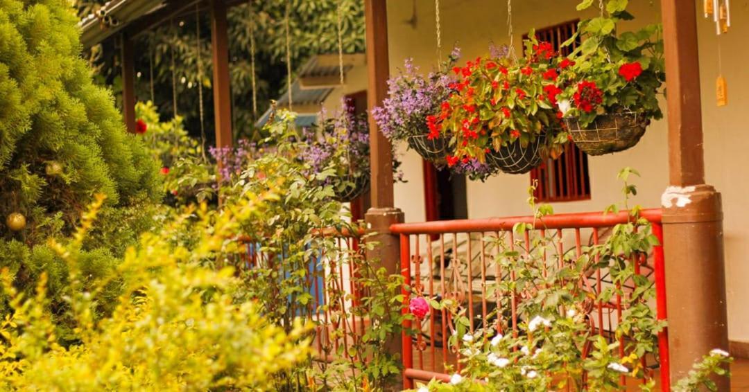Gigante Villa Sonia Eco-Hostel מראה חיצוני תמונה
