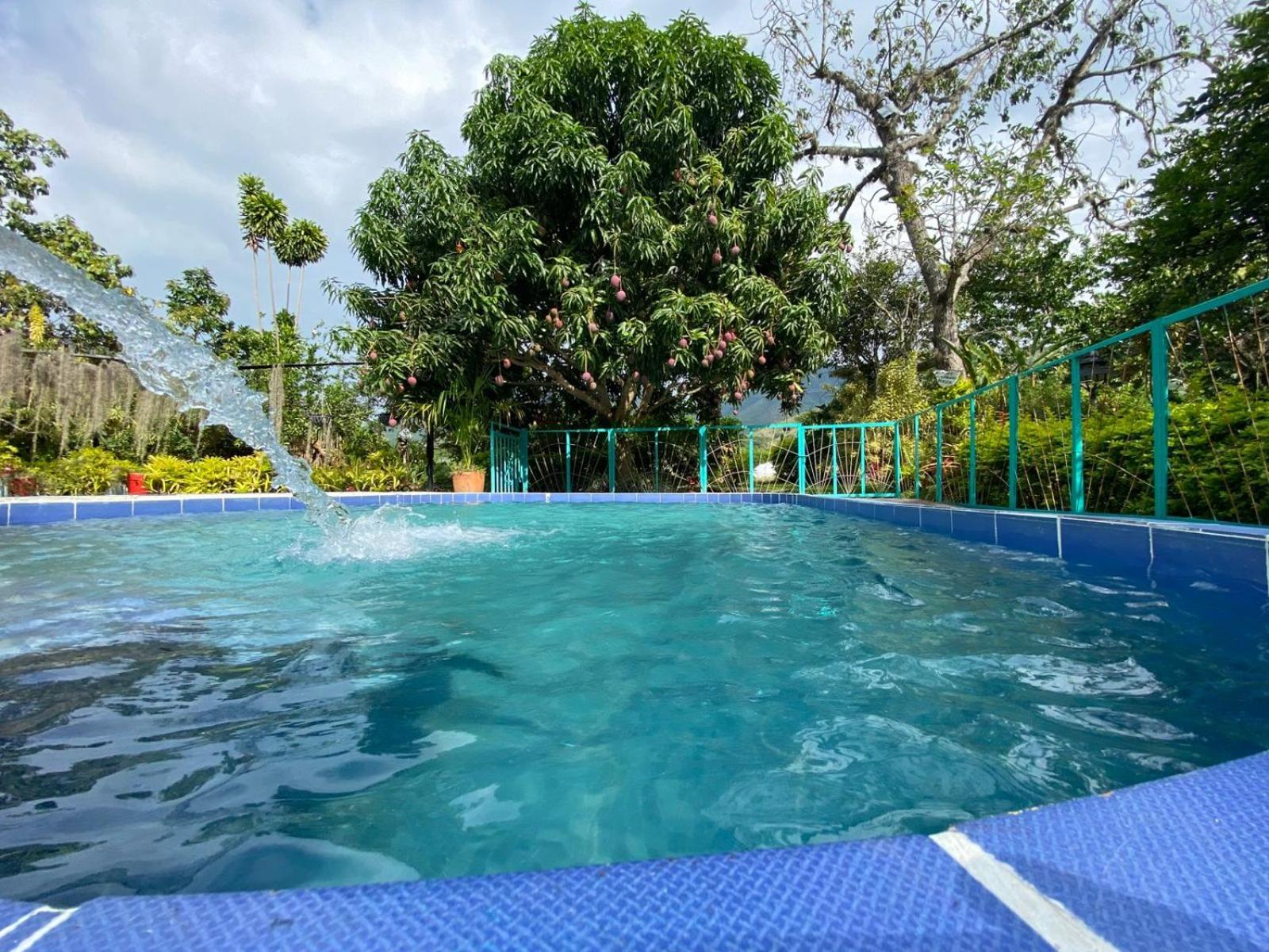 Gigante Villa Sonia Eco-Hostel מראה חיצוני תמונה