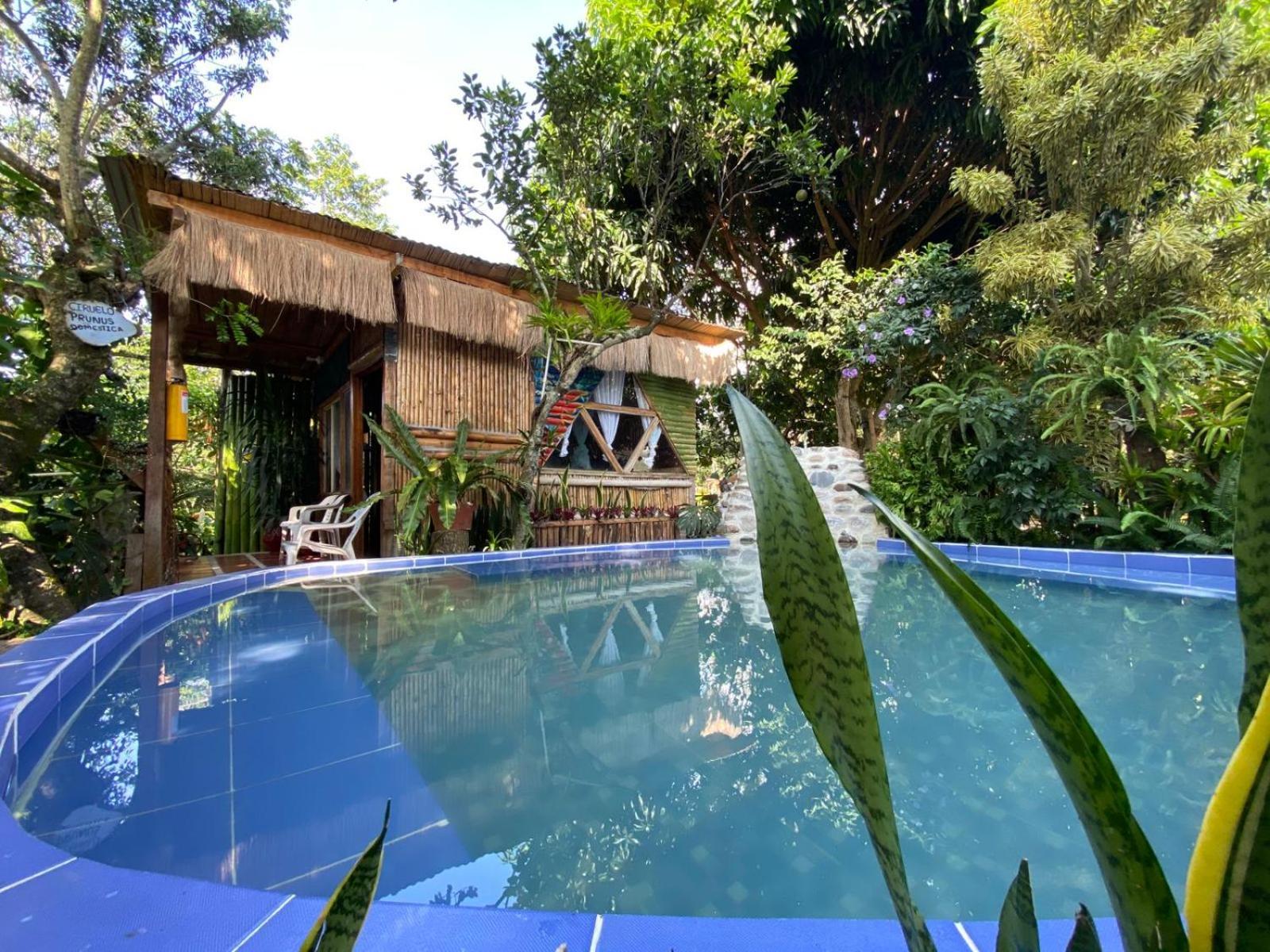 Gigante Villa Sonia Eco-Hostel מראה חיצוני תמונה