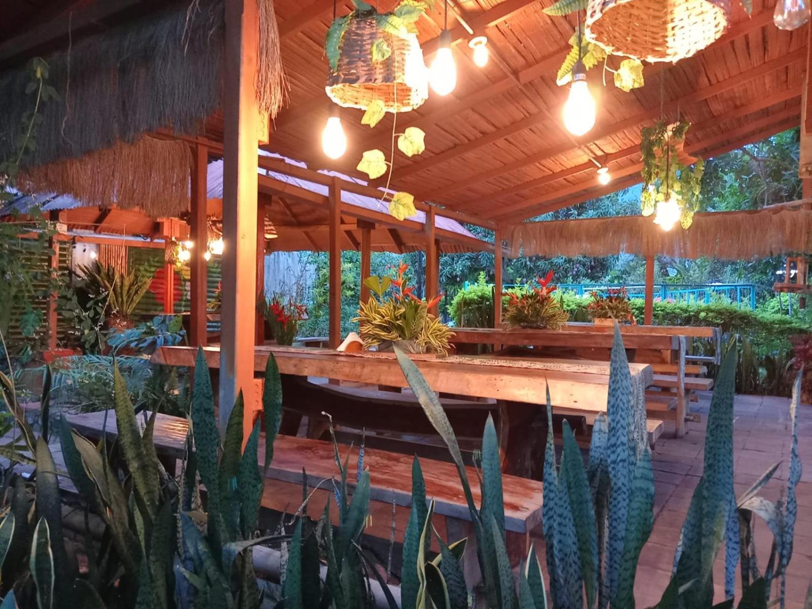 Gigante Villa Sonia Eco-Hostel מראה חיצוני תמונה