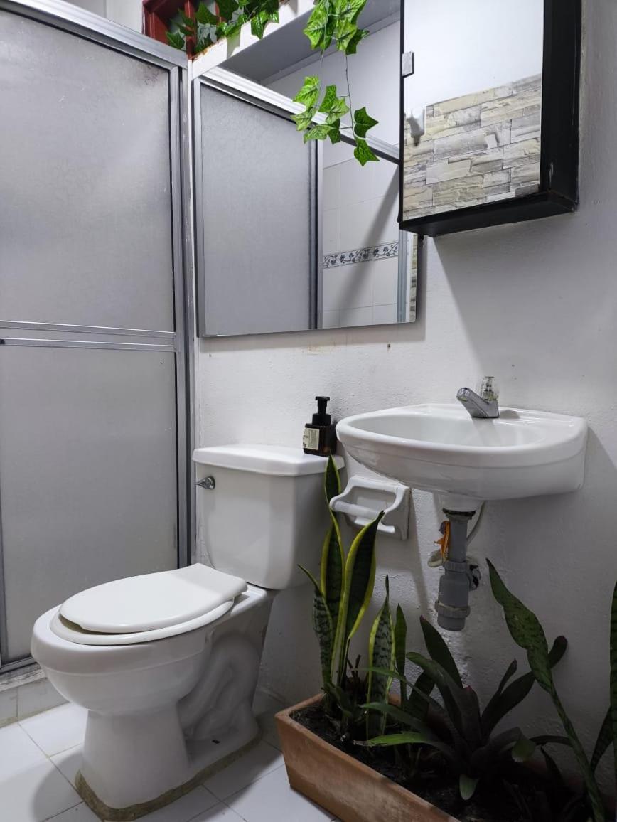 Gigante Villa Sonia Eco-Hostel מראה חיצוני תמונה