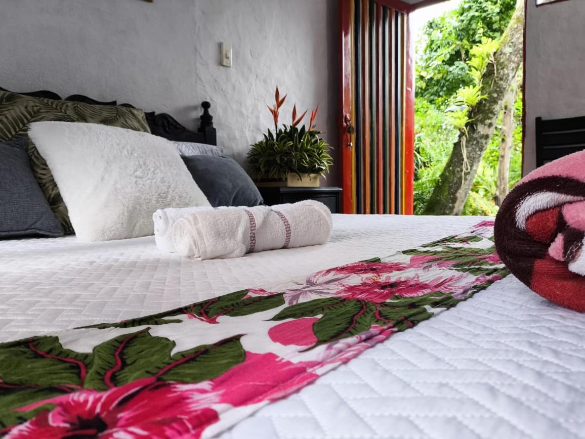 Gigante Villa Sonia Eco-Hostel מראה חיצוני תמונה